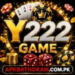 Y222 Game