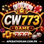 CW773 Game