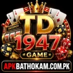 TD1947 Game